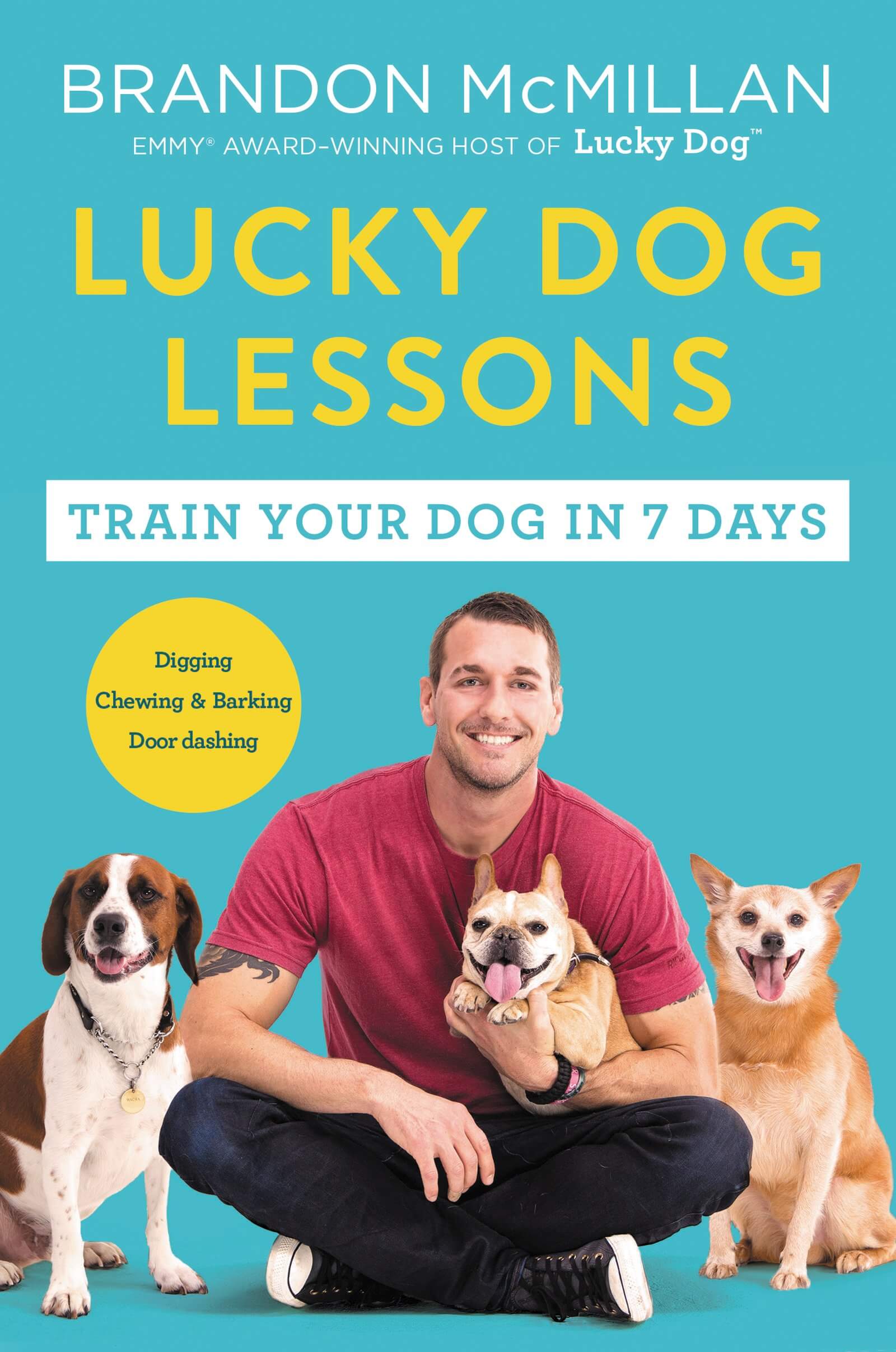 lucky dog lessons book review