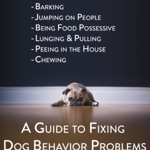Help! My Dog Won't Stop... A Guide to Fixing Dog Behavior Problems