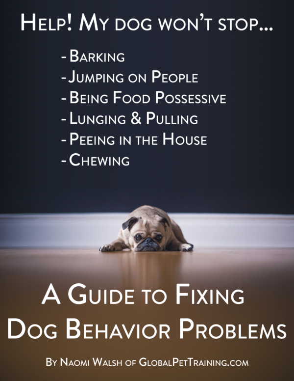 Help! My Dog Won't Stop... A Guide to Fixing Dog Behavior Problems
